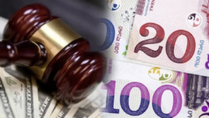 „ჯარიმა 2000 ლარი ან თავისუფლების აღკვეთა 1-დან 3 წლამდე“ – საყურადღებო ინფორმაცია