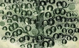 იპოვე შენი გვარი და შენი წარსული – ინფორმაცია, რომელსაც საკუთარ ფესვებზე უნდა ფლობდე