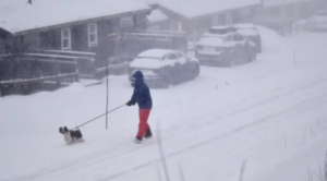 უამინდობას მსხვერპლი მოჰყვა